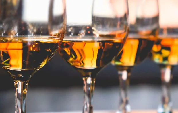 Whisky Käse Tasting Frankfurt am Main - 3