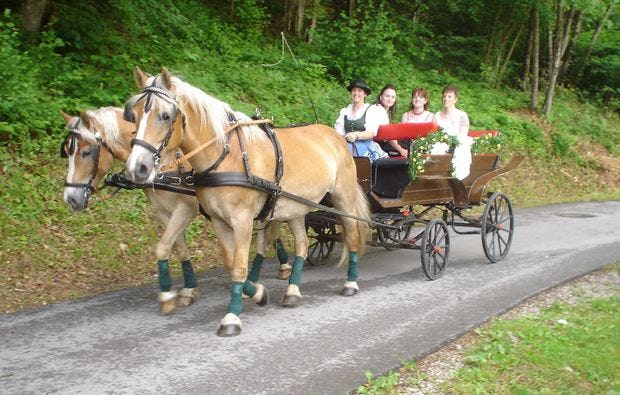 Romantische Pferdeschlittenfahrt Wildalpen für 2 (1 Std.)