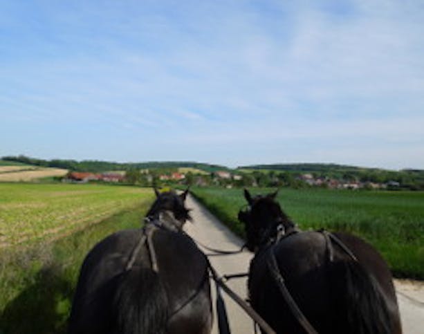 Pferdekutschenfahrt Weitersfeld für 2