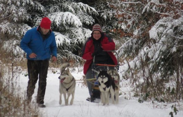 Schlittenhunde-Workshop Bad Herrenalb