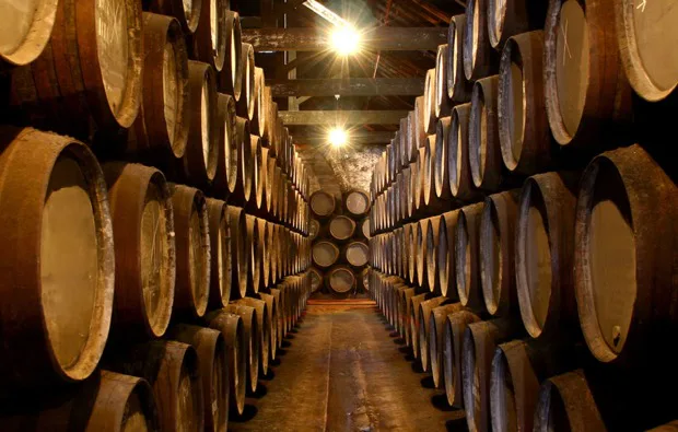 Whisky Käse Tasting Hamburg