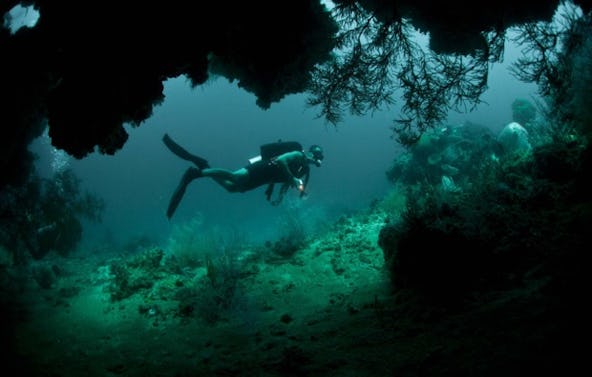 Tauchen im Bergsee München