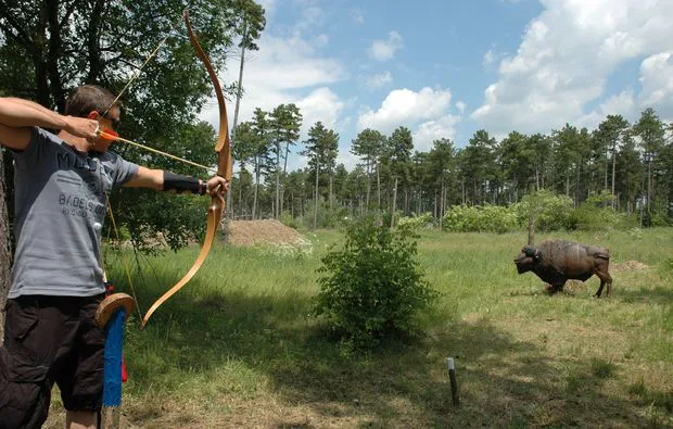 3D Bogenschießen und Waldklettergarten Gänserndorf - 2