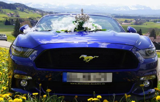 Mustang GT Cabrio fahren Karlsruhe 1 Tag (Mo.-Do.) - 3