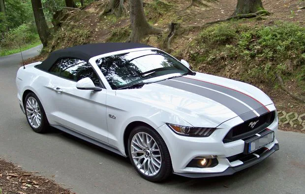 Mustang GT Cabrio fahren Karlsruhe 1 Tag (Mo.-Do.) - 5