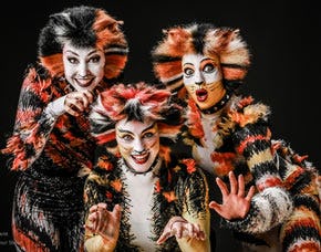 Musical Dinner Magdeburg