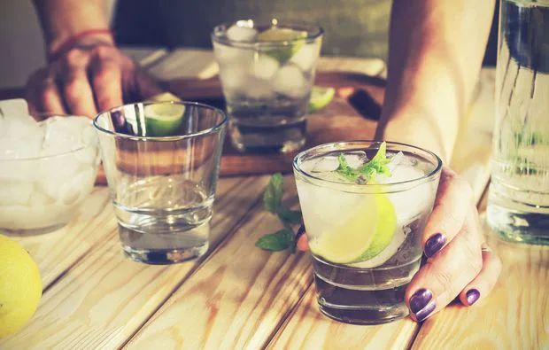Gin Seminar Berlin
