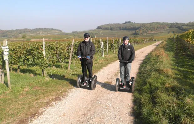 Segway Tour in Vogtsburg am Kaiserstuhl - 3