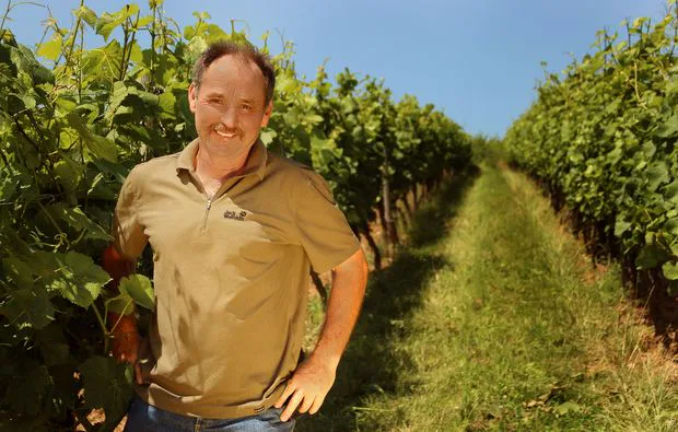 Weinbergsrundfahrt Guldental (mit Holder- & Weinverkostung) - 4