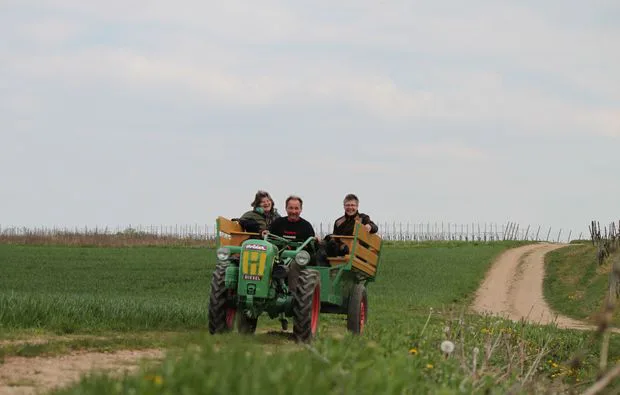Weinbergsrundfahrt Guldental (mit Holder- & Weinverkostung) - 5