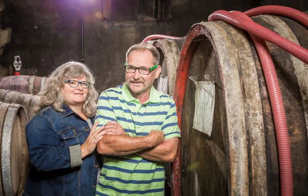 Weinbergsrundfahrt Guldental (mit Holder- & Weinverkostung) - 10