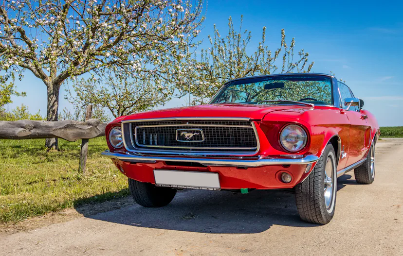Mustang Oldtimer fahren 1 Tag (Mo.-Do.) Anzing bei München