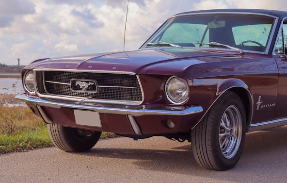 Ford Mustang Oldtimer fahren Wees (4 Std. )