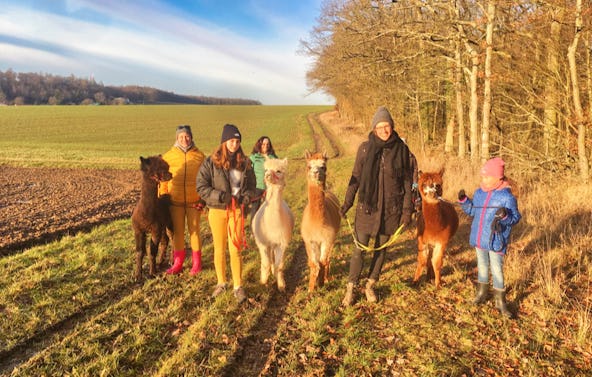 Alpaka Wanderung mit Glühwein Arnstein für 2
