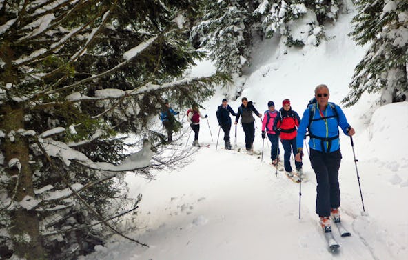 Einsteiger Skitour Türnitz