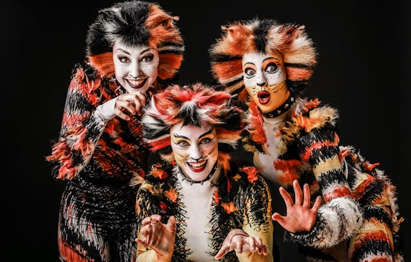 Musical Dinner Erkrath