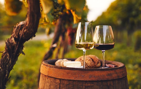 Wein Tasting für 2 Flomborn