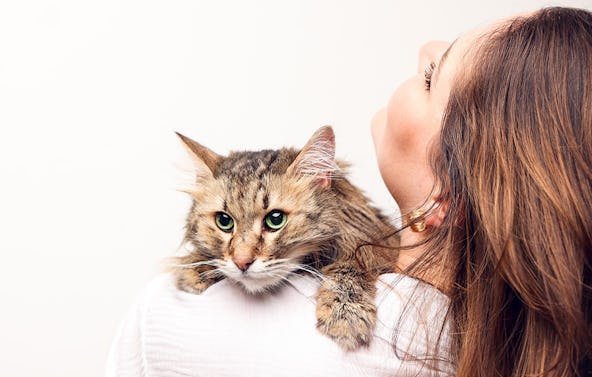 Tier Fotoshooting Karlsruhe