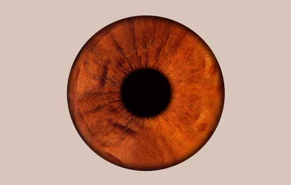 Iris Fotoshooting Mühlheim an der Ruhr