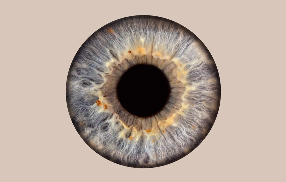 Iris Fotoshooting Recklinghausen - 1