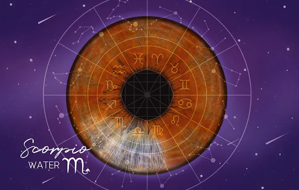 Iris Fotoshooting Ludwigshafen