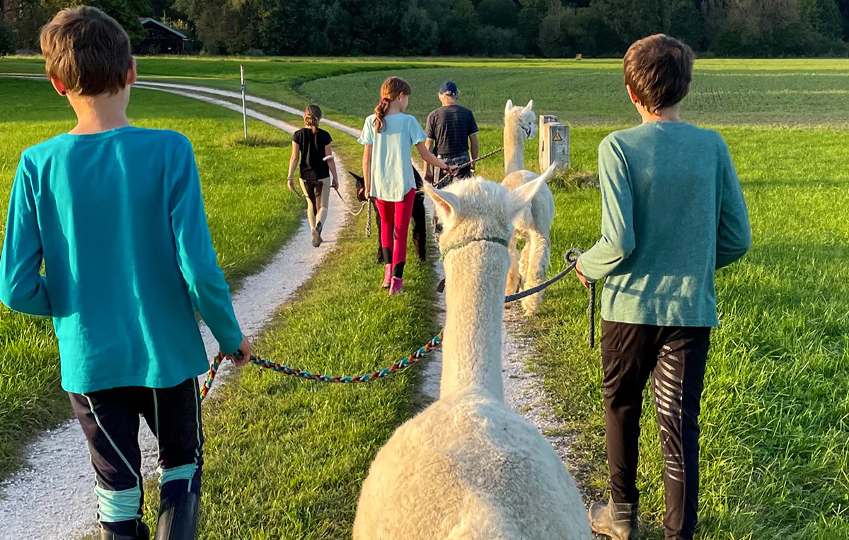 Alpaka Wanderung für 2 Taufkirchen - 5