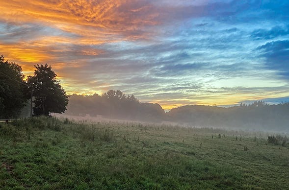 Escape Room Wald Königswinter