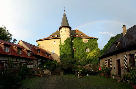 Gin selber machen in Schlüchtern-Elm - 4