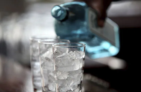 Gin selber machen in Schlüchtern-Elm - 3