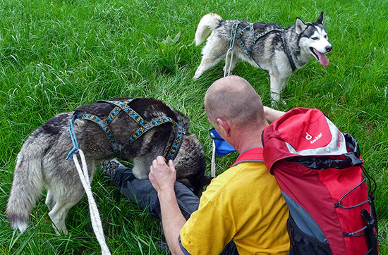 Husky Sommercamp mit Outdoor-Übernachtung Raum Ulm für 2 - 4