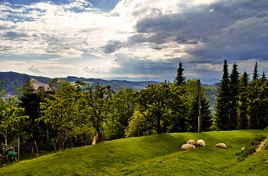 Wellness-Kurzurlaub im Bio-Hotel in Kärnten für 2 - 6