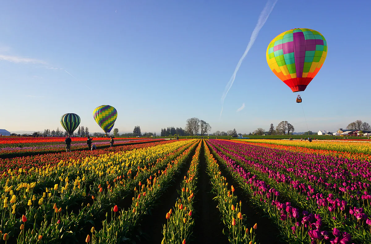 Ballonfahren Norddeutschland - 5