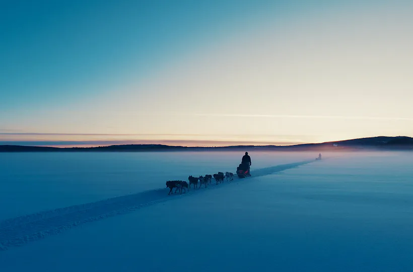 Abenteuerreise Lappland mit Hundeschlitten für 2 (2 Nächte)