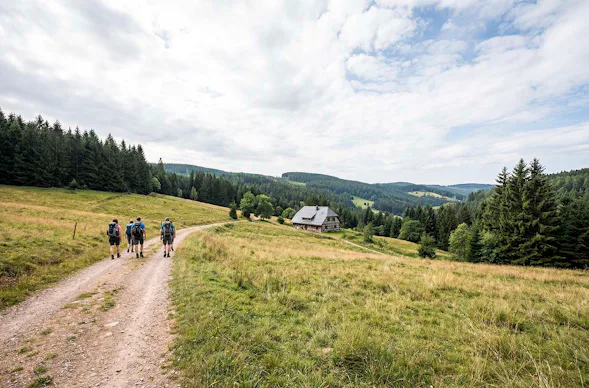 Aktivurlaub Elzach für 2 (2 Nächte)