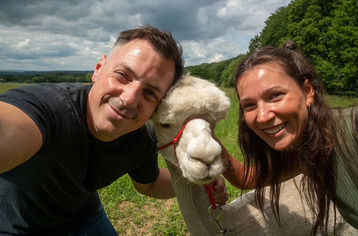 Alpaka Wanderung Bruchhausen für 2 - 7