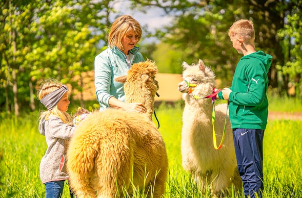 Alpaka Wanderung Eichendorf