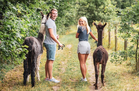 Alpaka Wanderung Münnerstadt