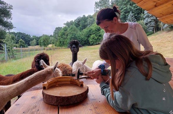 Alpaka Wanderung St. Egidien für 2