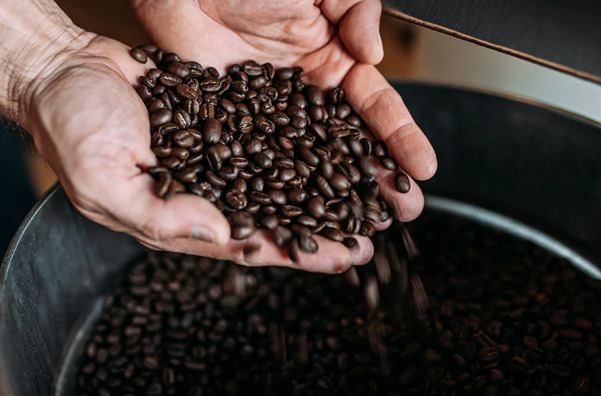 Barista Kurs Radevormwald - 5