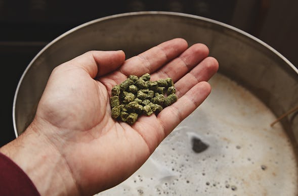 Braukurs Oberhaching