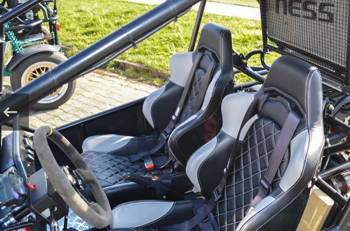 Buggy fahren Zweisitzer Stetten bei Meersburg (3 Std.) - 5