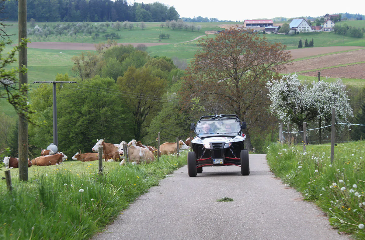 Side by Side Buggy Schwarzwald-Tour Meißenheim (5 Std.) - 2