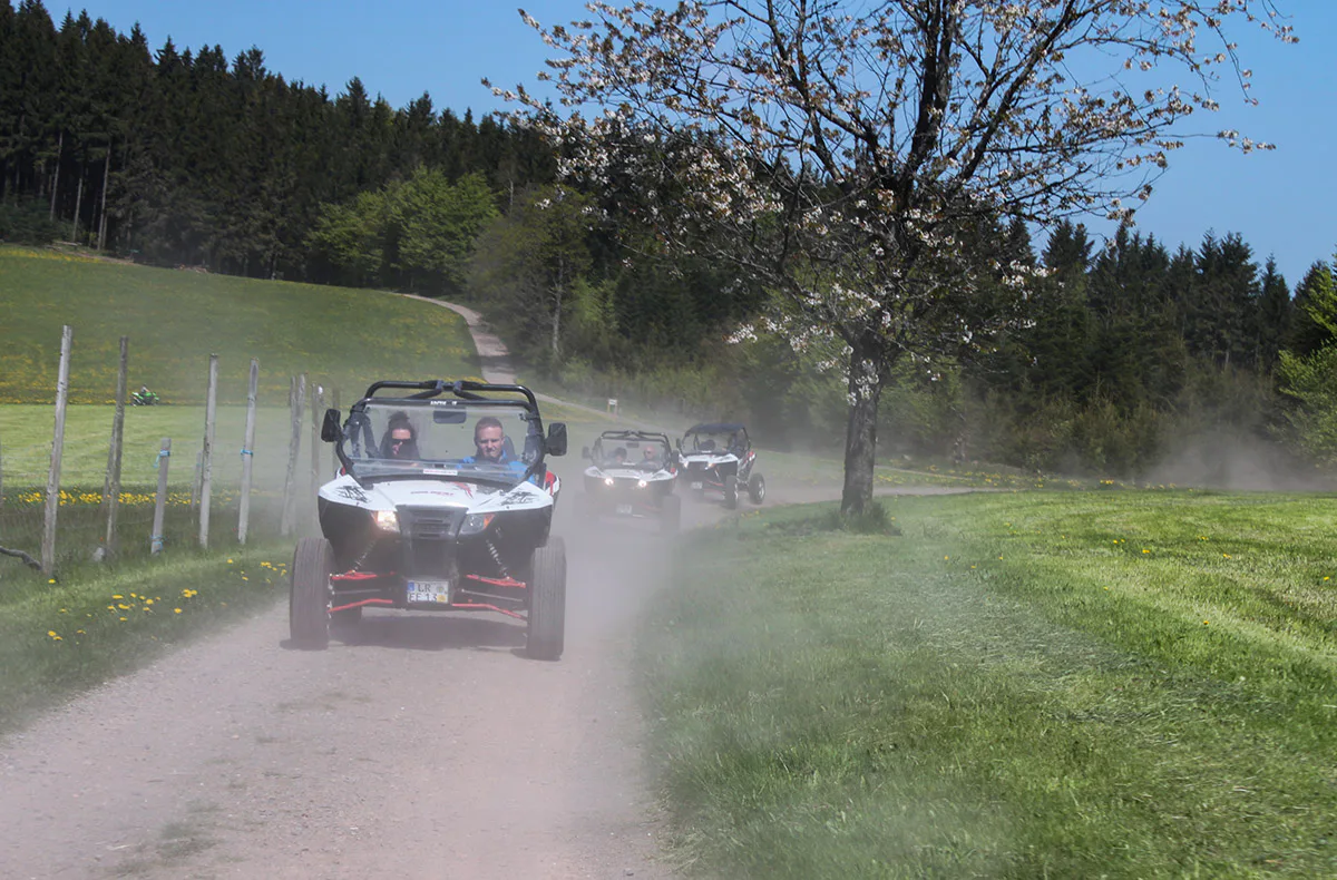 Side by Side Buggy Schwarzwald-Tour Meißenheim (5 Std.) - 4