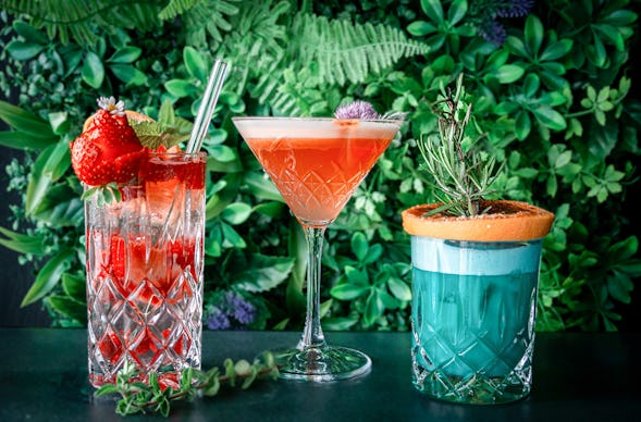 Cocktailkurs Paderborn