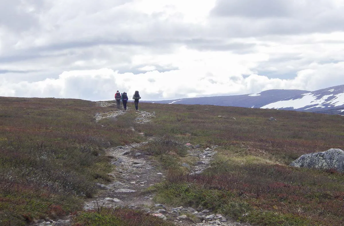 Erlebnisreise Expeditionstrekking in Nordschweden (9 Nächte) - 2