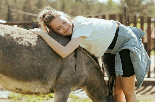 Eselwanderung für 2 Barth