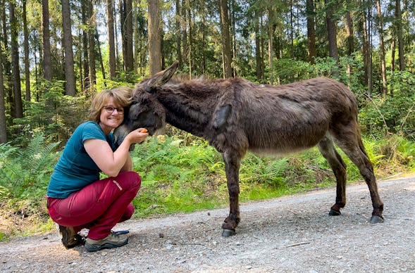 Eselwanderung für 2 Fichtenau