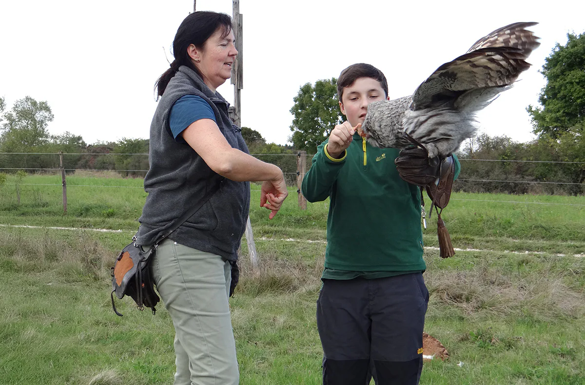Falkner für einen Tag Riedenburg (Weißkopfseeadler) - 6