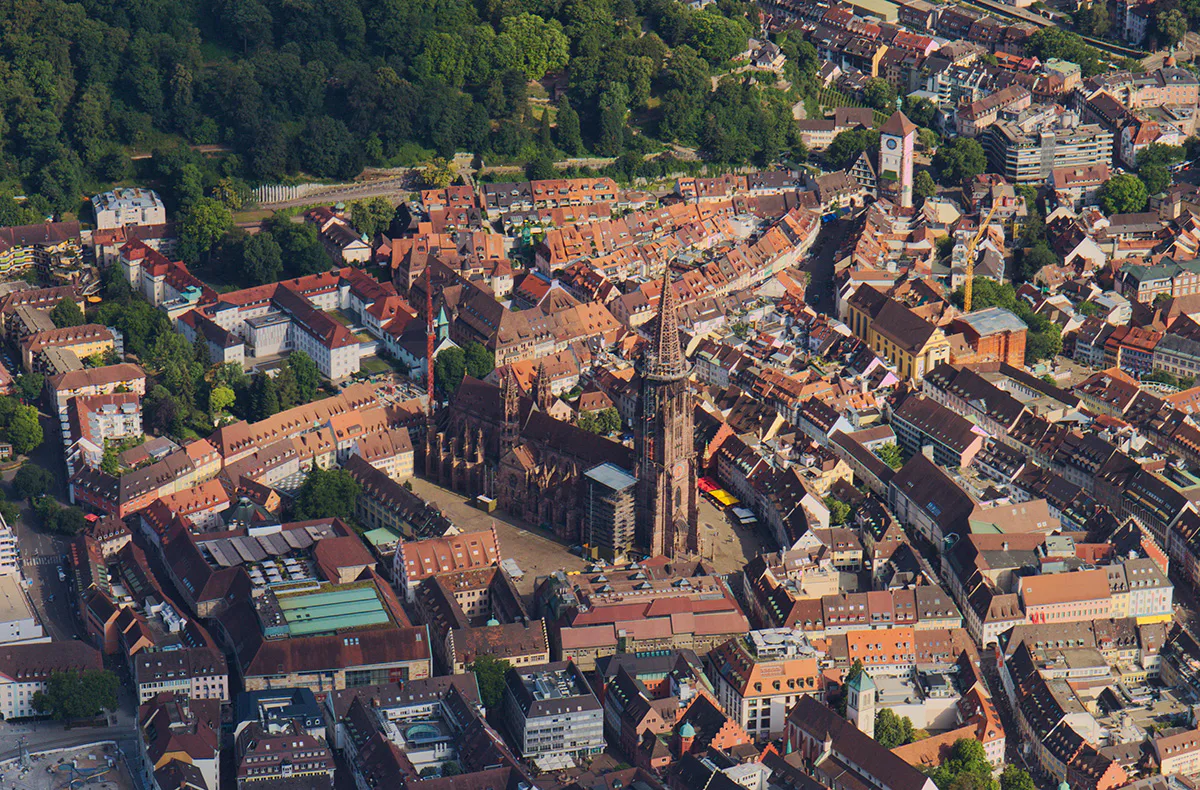 Flugzeug fliegen Freiburg im Breisgau (60 Min.) - 3