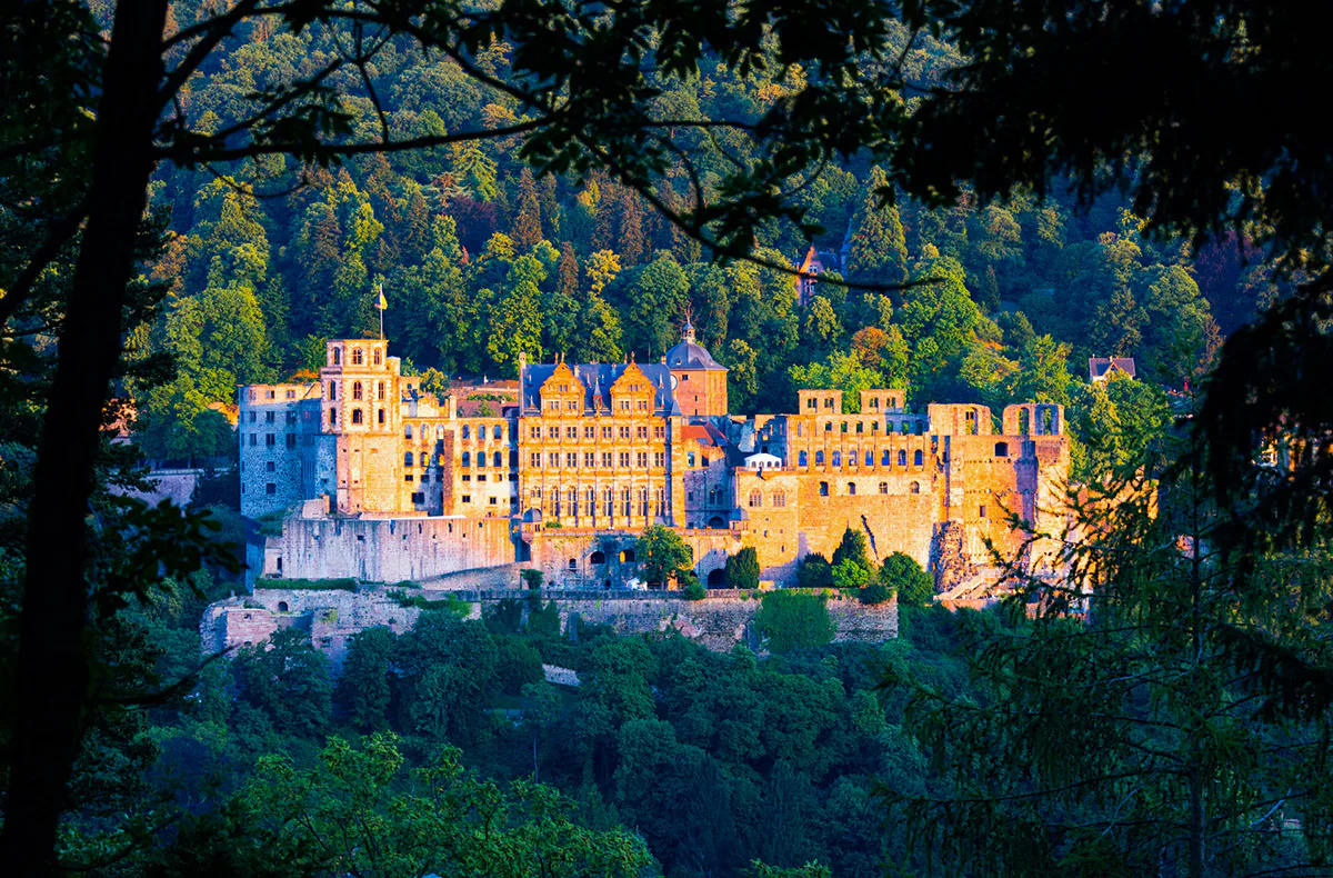 Foto Walk Heidelberg (Sunset) - 3